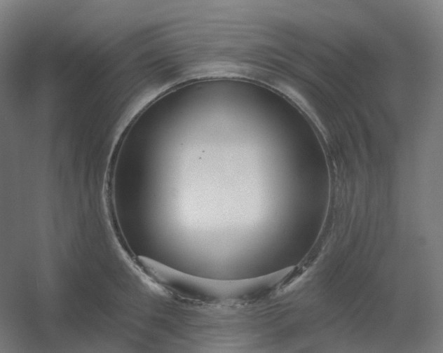 X0000054380901200508121603
