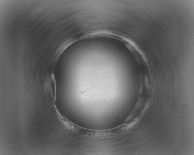 X0000054380905200508121603