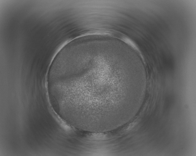 X0000054380907200508121603