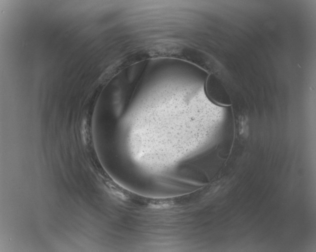 X0000054380915200508121602