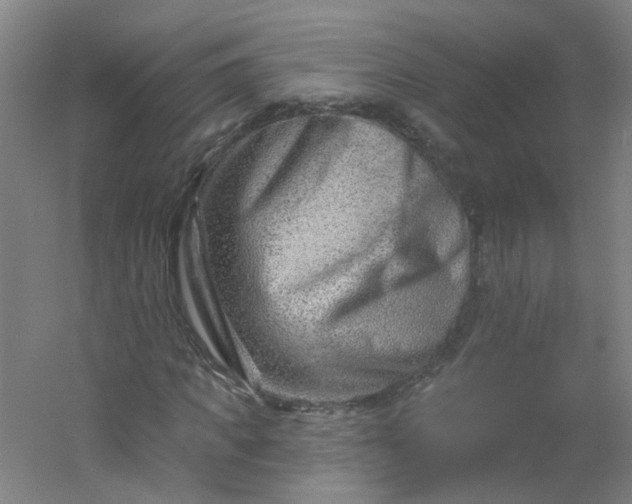 X0000054380917200508121602