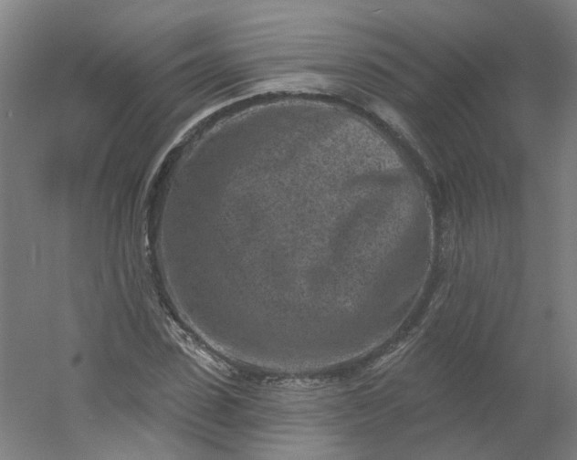 X0000054380923200508121602
