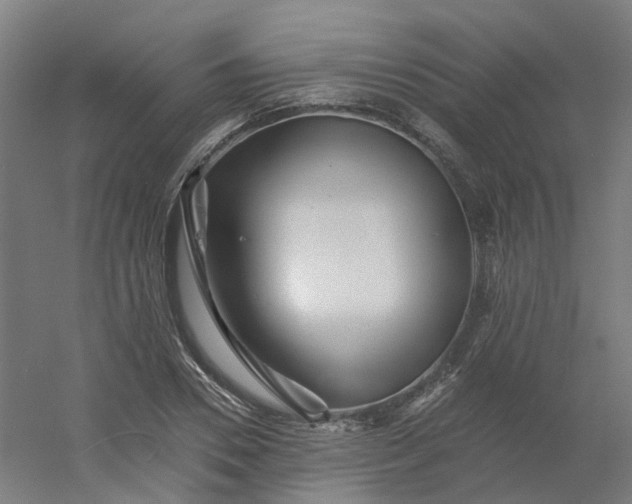 X0000054380930200508121602