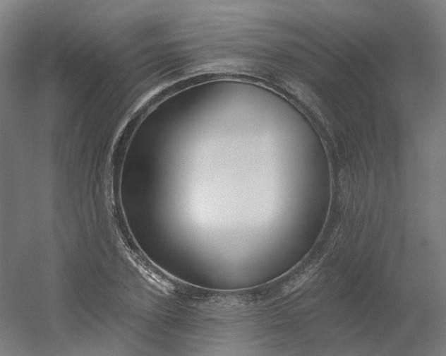 X0000054380931200508121602