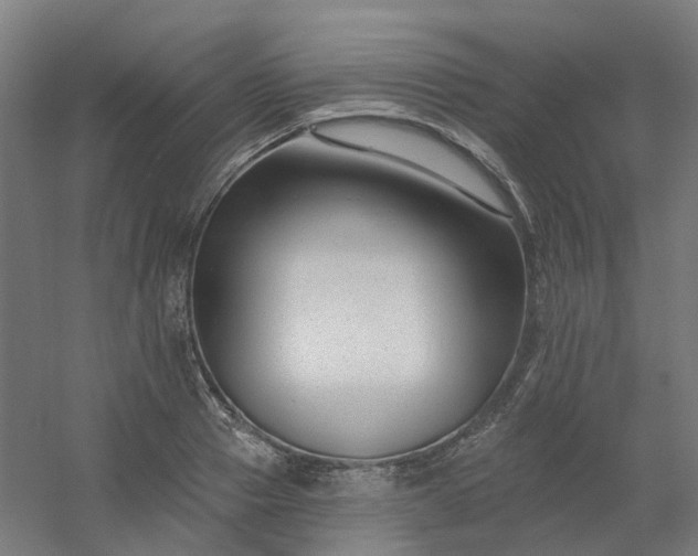 X0000054380937200508121603