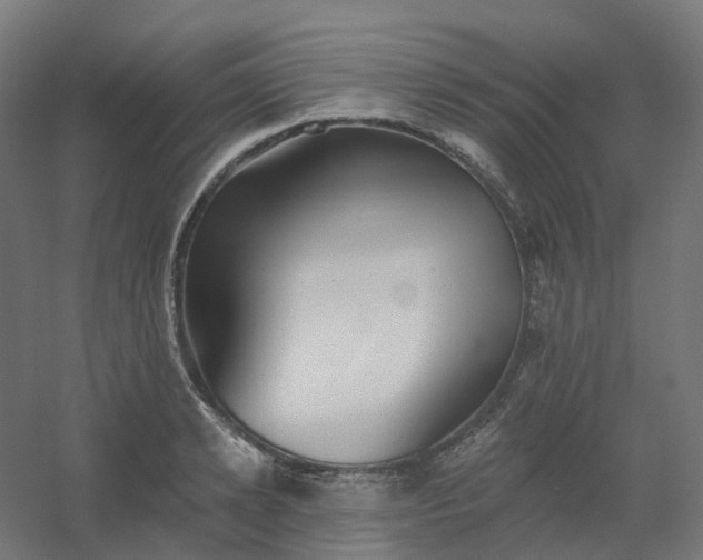X0000054380942200508121603