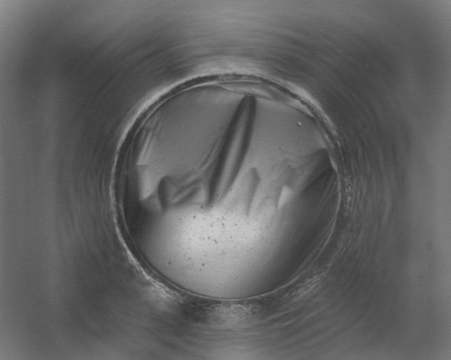 X0000054380943200508121603