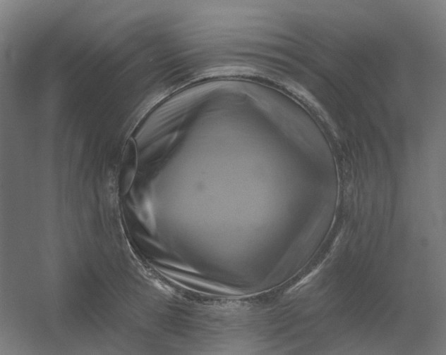 X0000054380945200508121603