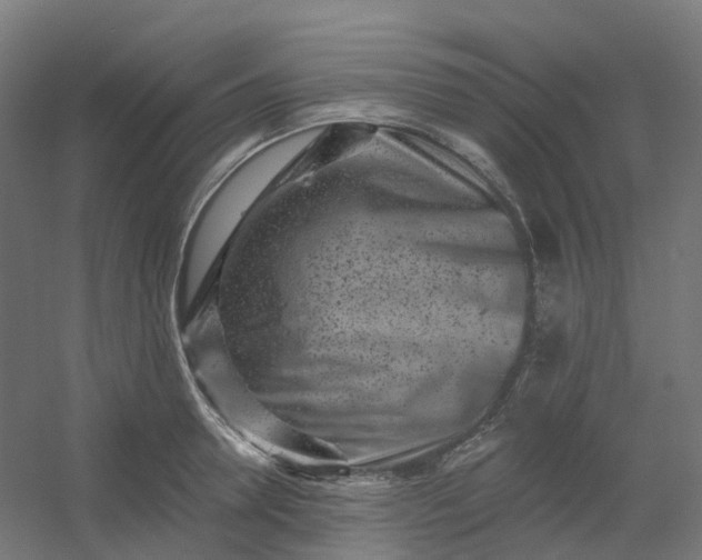 X0000054380946200508121603