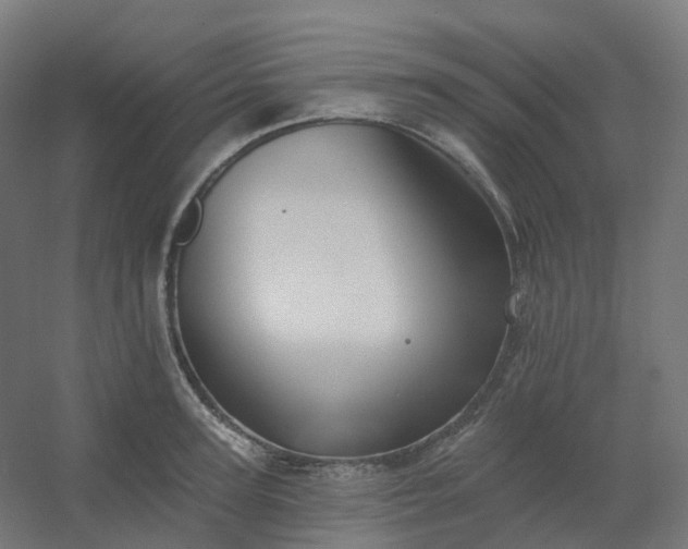 X0000054380947200508121603