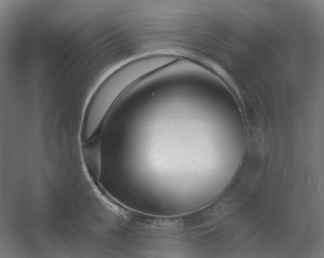 X0000054380951200508121603