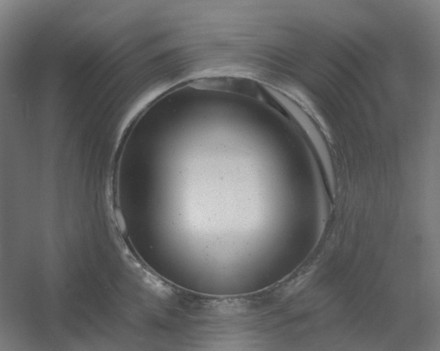 X0000054380952200508121603
