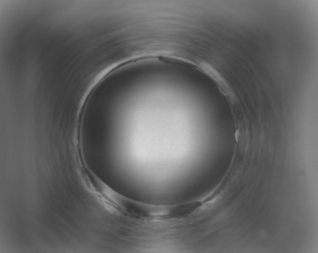 X0000054380956200508121603
