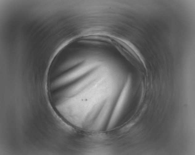X0000054380957200508121603