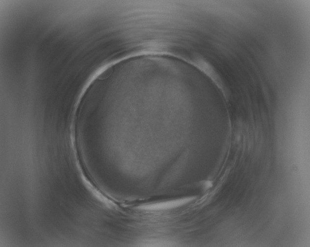 X0000054380958200508121603