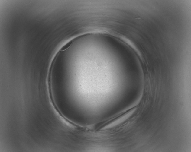 X0000054380959200508121603