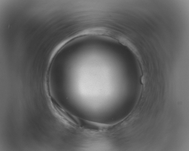 X0000054380960200508121603
