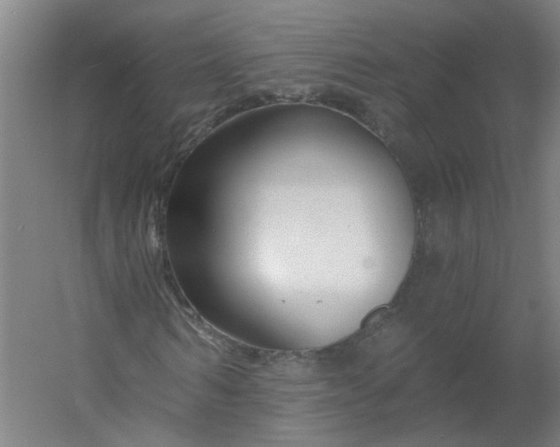 X0000054380962200508121602