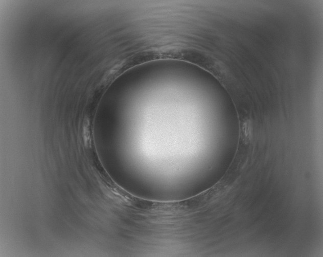 X0000054380963200508121602