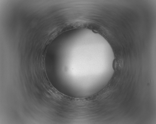 X0000054380964200508121602
