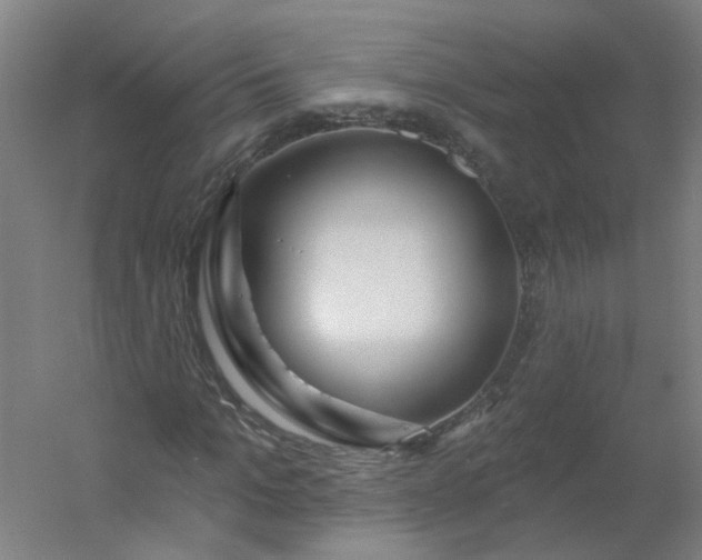 X0000054380965200508121602