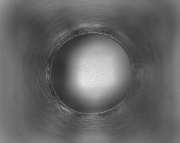 X0000054380966200508121602