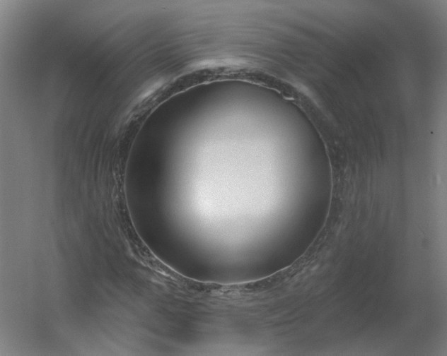 X0000054380967200508121602