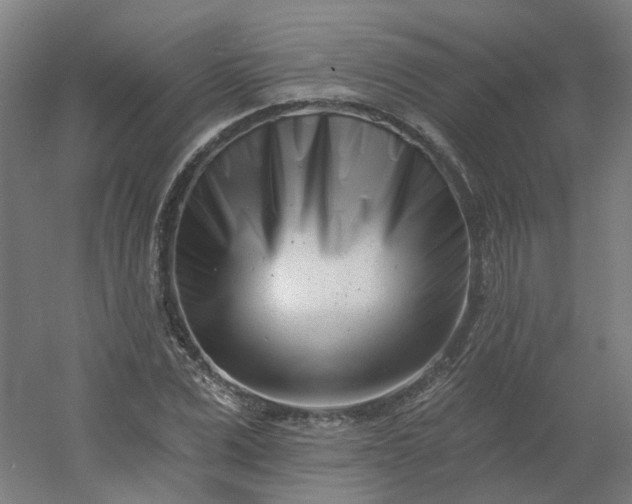X0000054380975200508121602