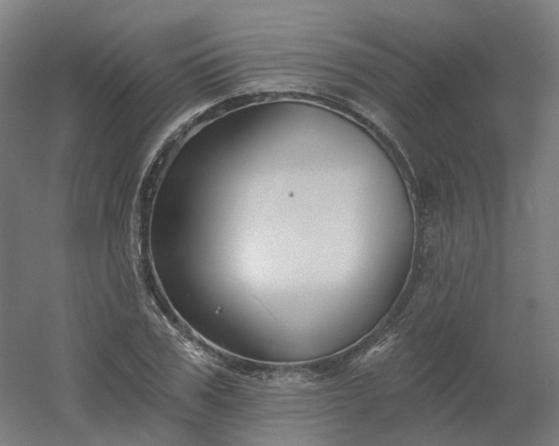 X0000054380979200508121602