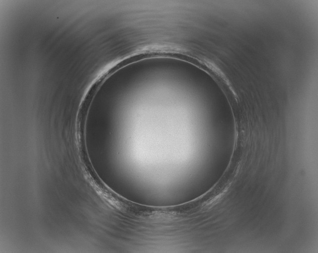 X0000054380981200508121602