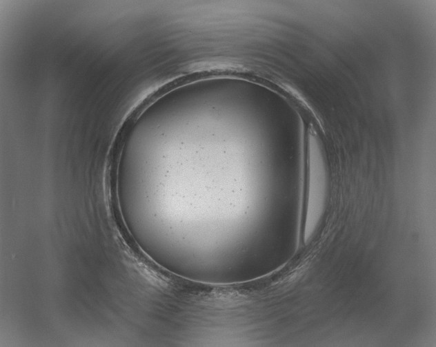 X0000054380983200508121602