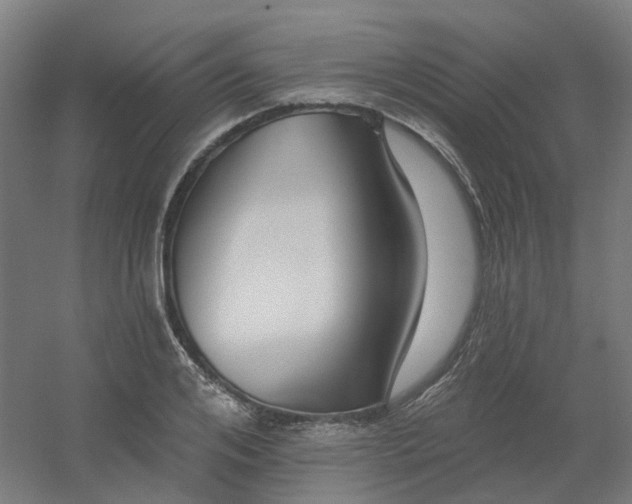 X0000054380984200508121602