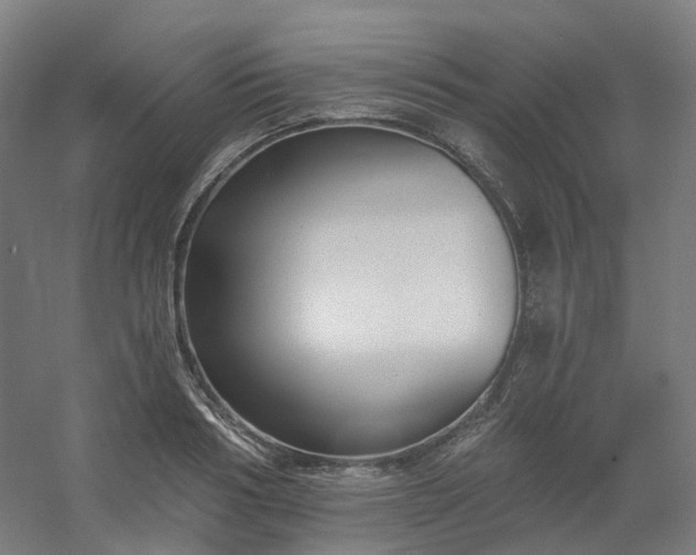 X0000054380986200508121602