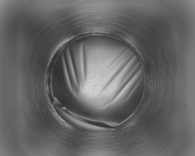X0000054380987200508121602