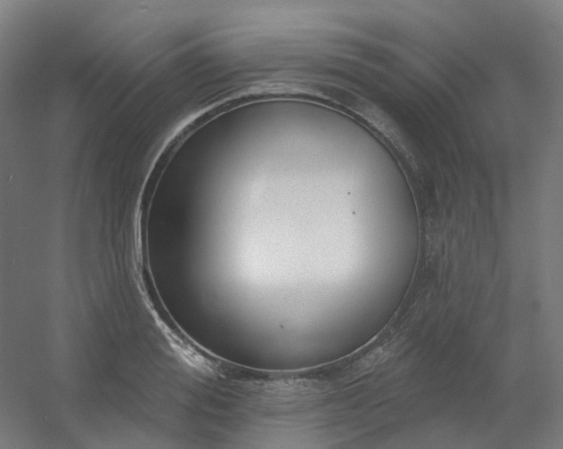 X0000054380988200508121602