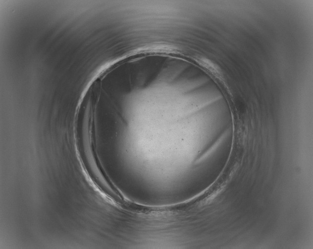 X0000054380989200508121602
