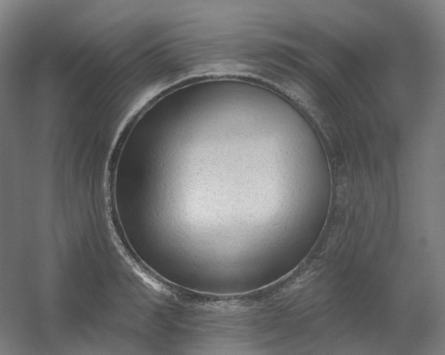X0000054380990200508121602