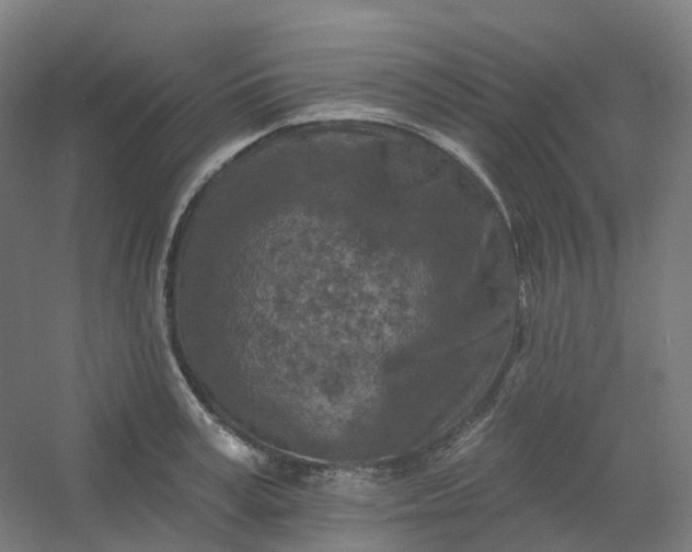 X0000054380995200508121602
