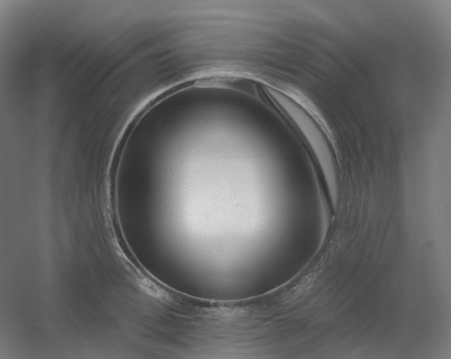 X0000054380996200508121602