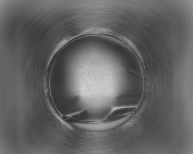X0000054380997200508121602
