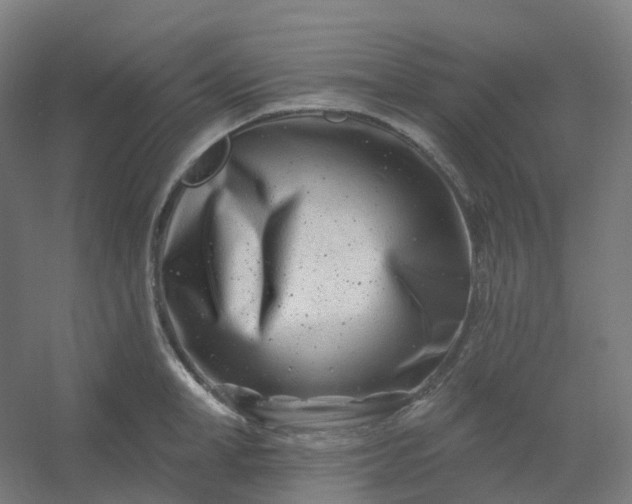 X0000054380998200508121601