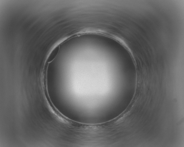 X0000054381003200508121601