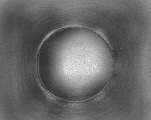 X0000054381004200508121601