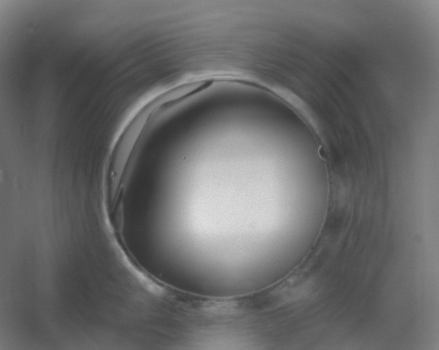 X0000054381006200508121601