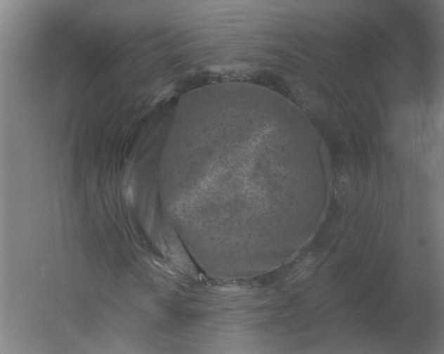 X0000054381010200508121601