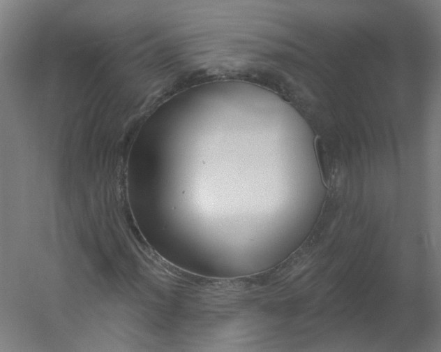 X0000054381012200508121601