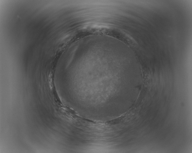 X0000054381013200508121601