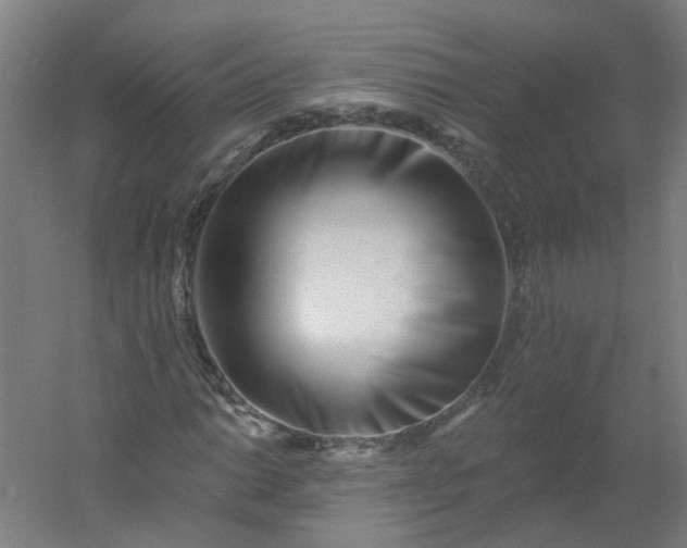 X0000054381014200508121601