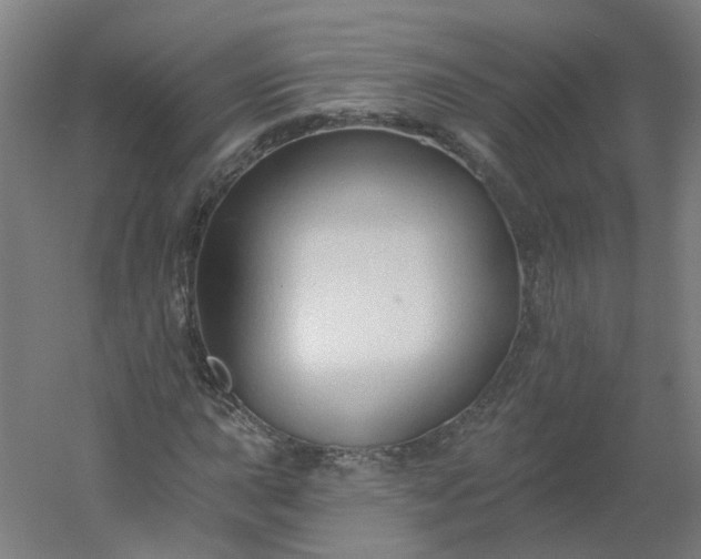 X0000054381015200508121601