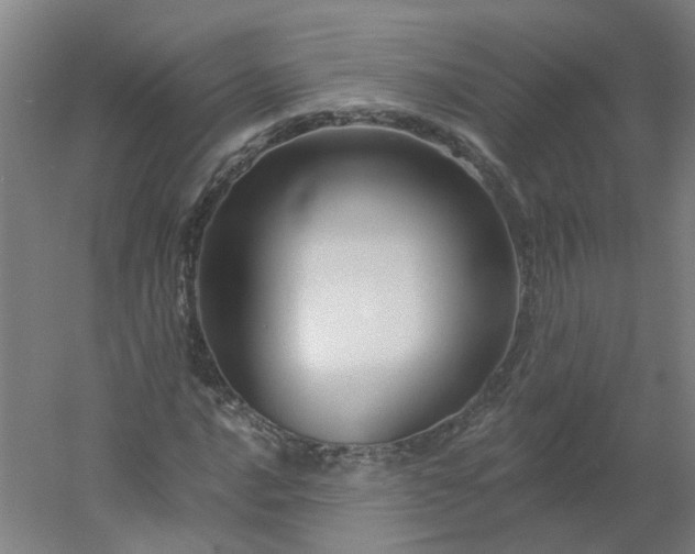 X0000054381016200508121601